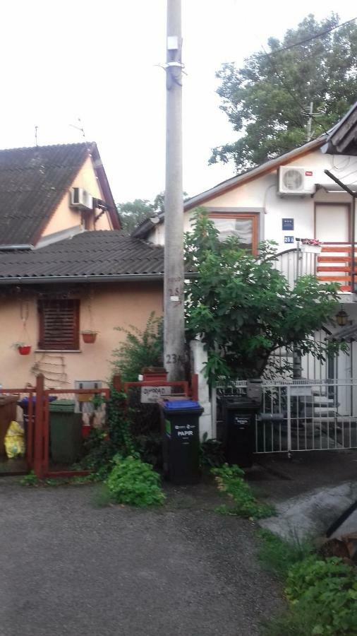 Apartment " Studio Green " Free Parking, Self Check-In Zagreb Dış mekan fotoğraf