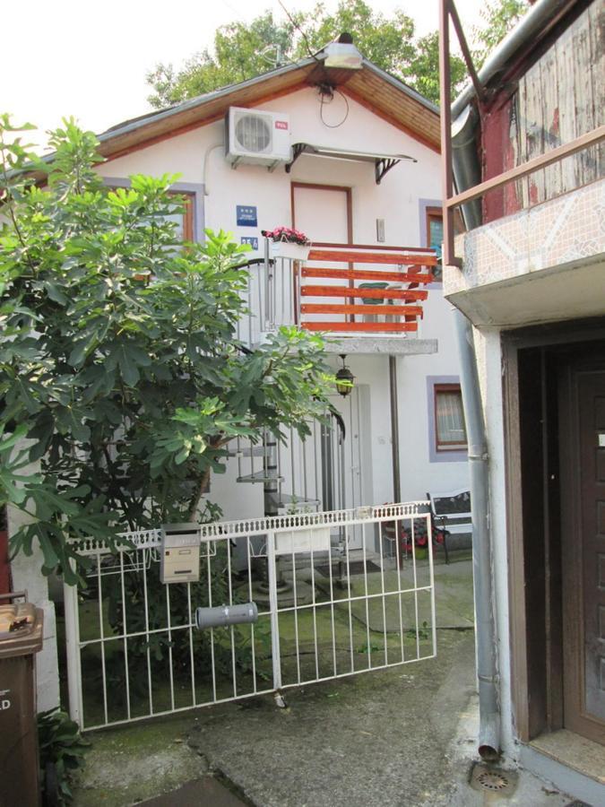 Apartment " Studio Green " Free Parking, Self Check-In Zagreb Dış mekan fotoğraf